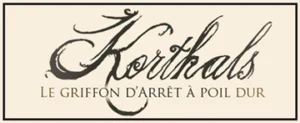 kothals - le griffron d'arrêt à poil dur
